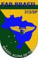 313 GE do Ar Brasil
